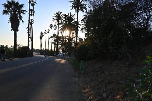 DSC 6733