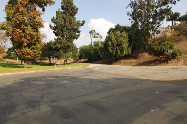 DSC 2302