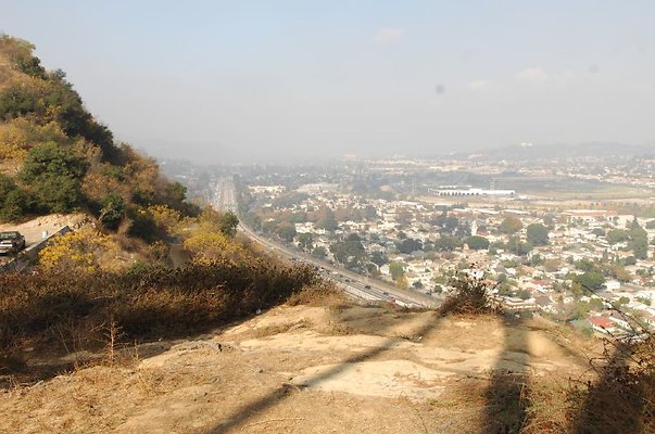 DSC 2384
