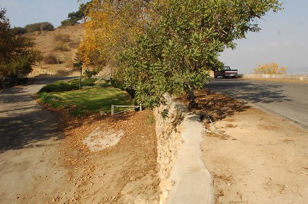 DSC 2392