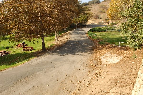 DSC 2396