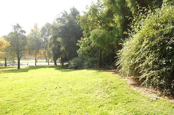 DSC 2403