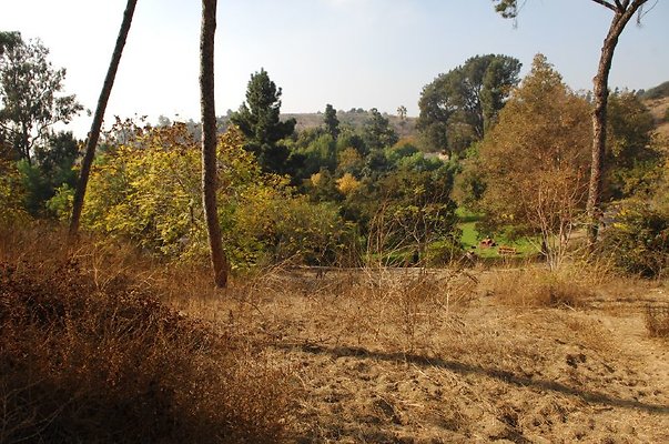 DSC 2380