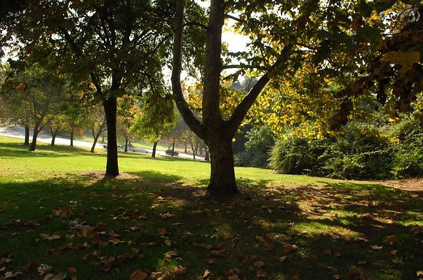 DSC 2400