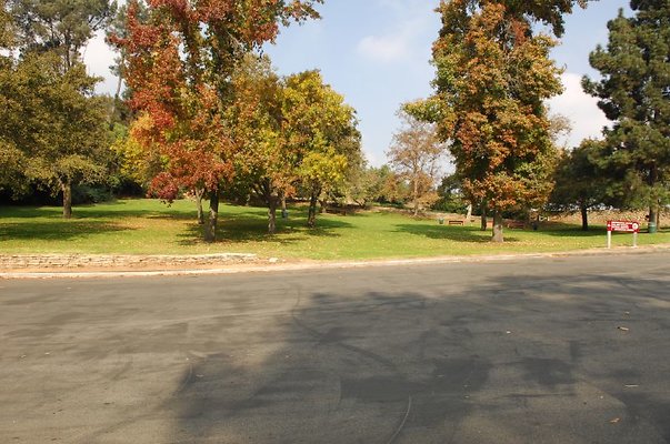 DSC 2301