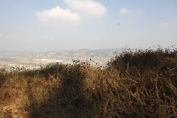 DSC 2376
