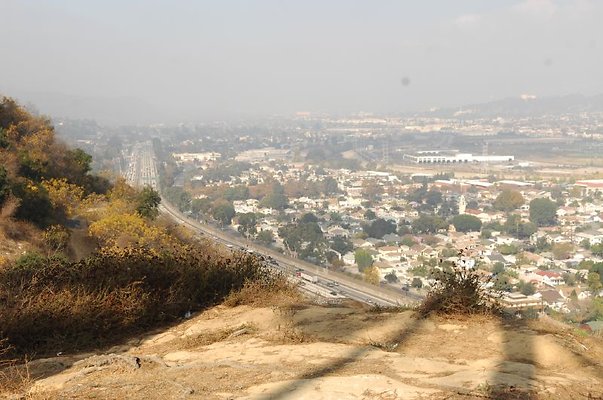 DSC 2385