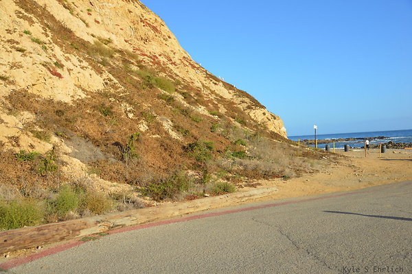 DSC 5178