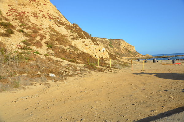 DSC 5190