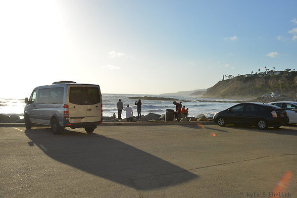 DSC 5209