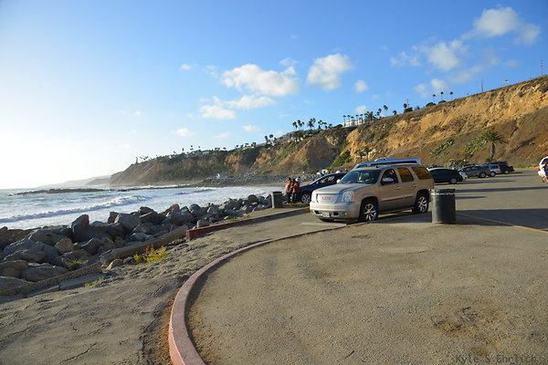 DSC 5202
