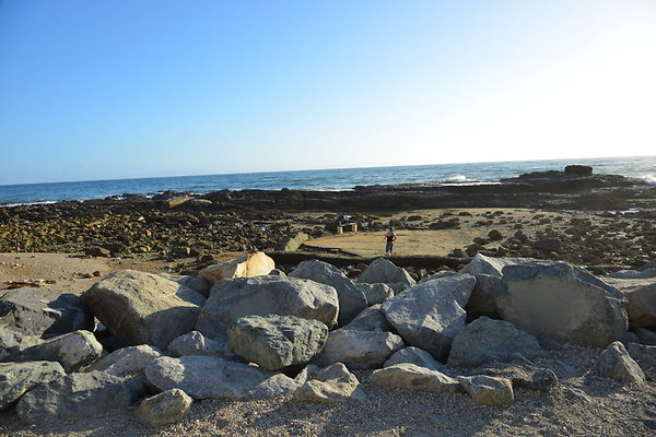 DSC 5196