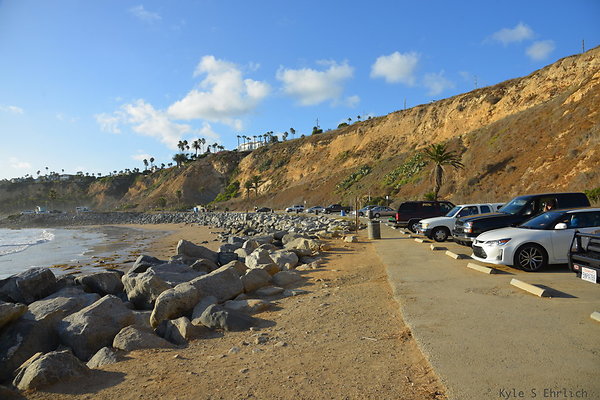 DSC 5241