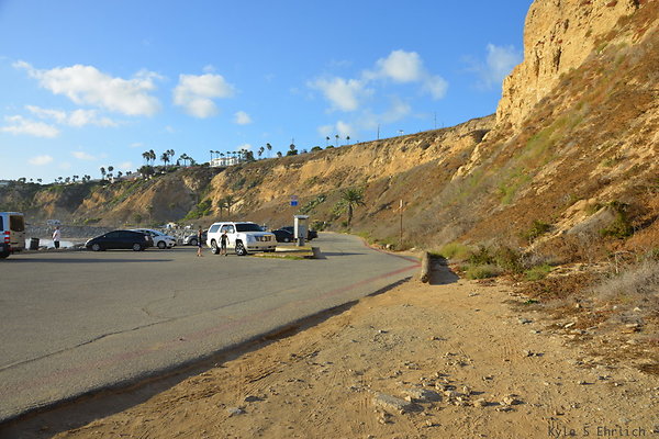 DSC 5195