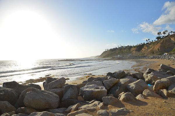 DSC 5240