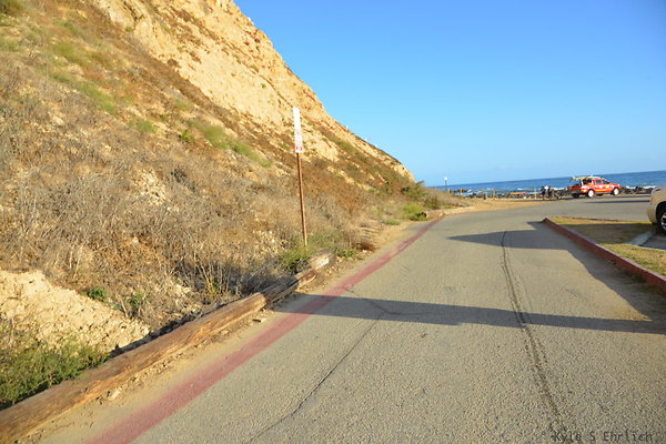 DSC 5222