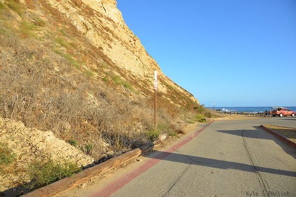 DSC 5229
