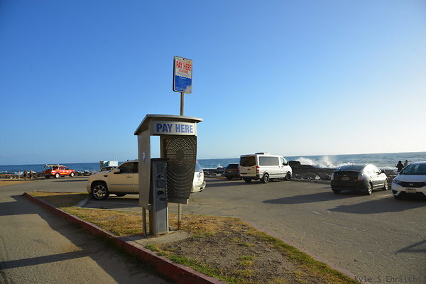 DSC 5223