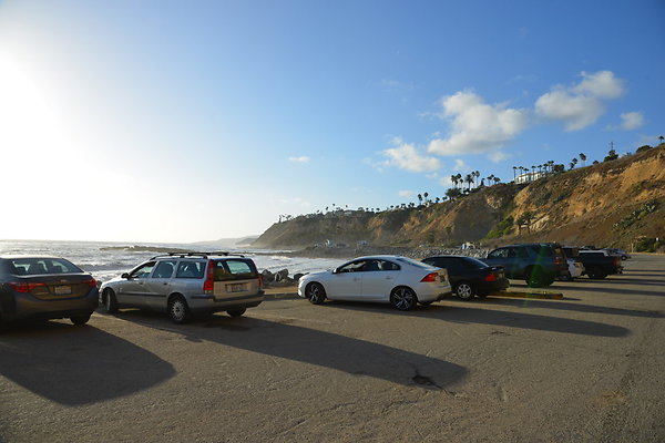 DSC 5225