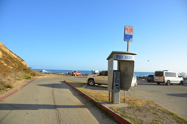 DSC 5230