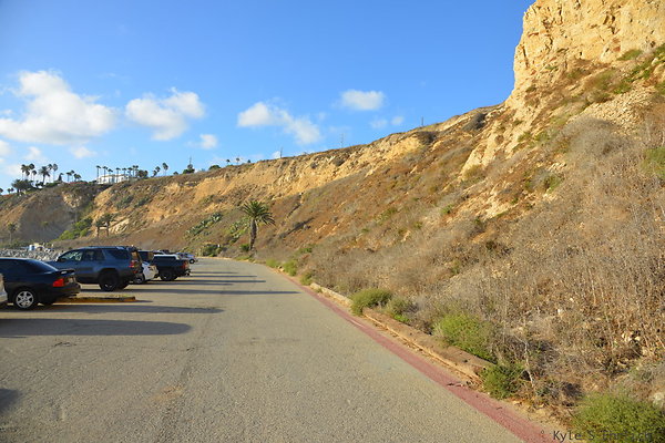 DSC 5226