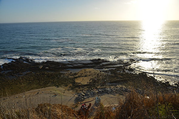 DSC 7247a
