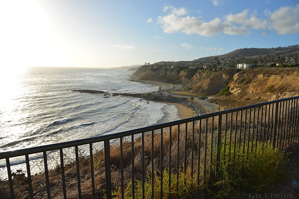 DSC 5256