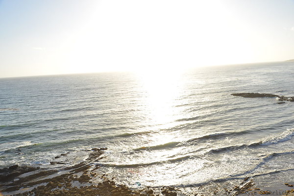 DSC 5252