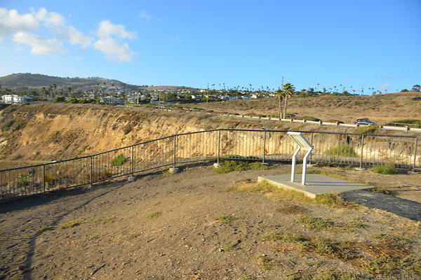 DSC 5276