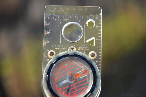 DSC 5255