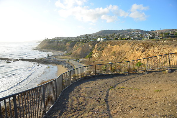 DSC 5275