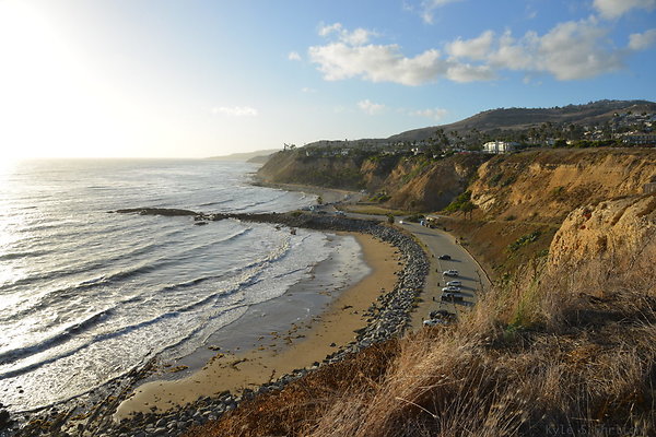 DSC 5249