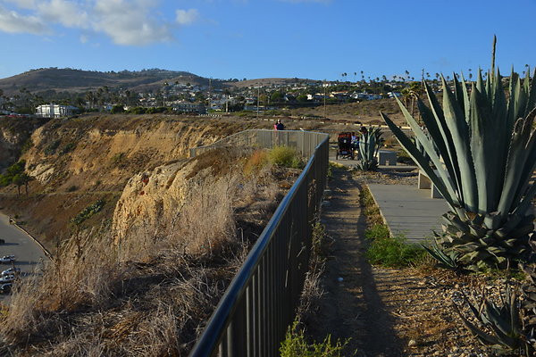 DSC 5254