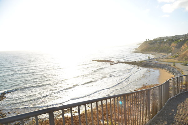 DSC 5274