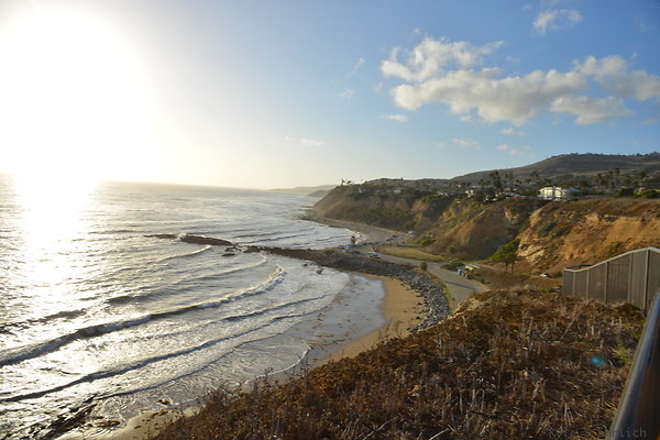 DSC 5273