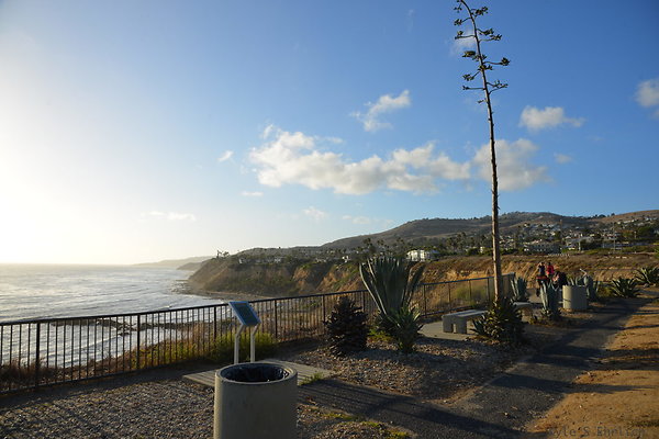 DSC 5266
