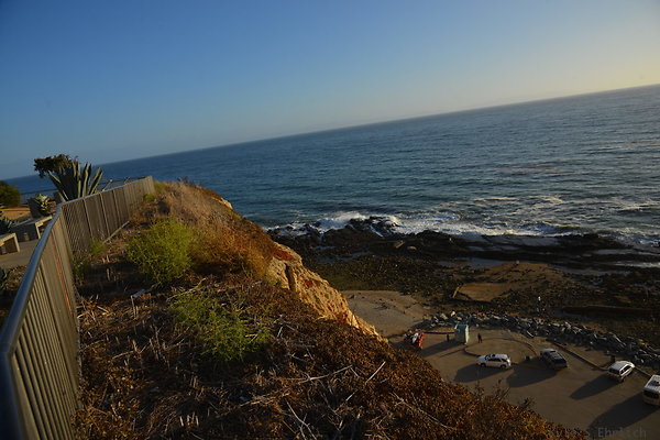 DSC 5271