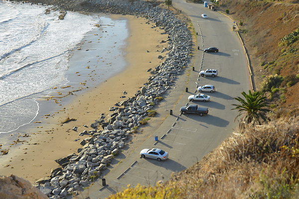 DSC 5284