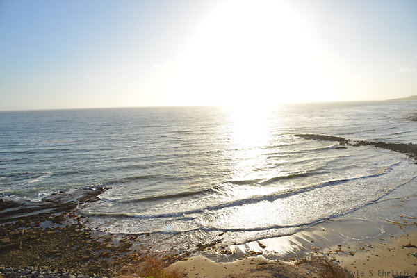 DSC 5286
