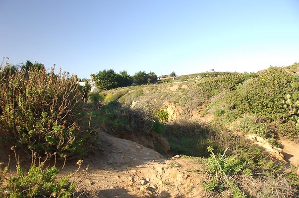 DSC 3116