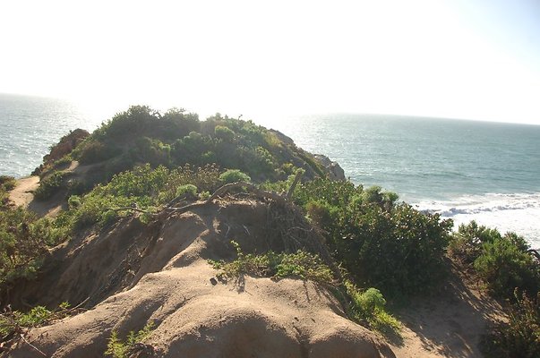DSC 3094