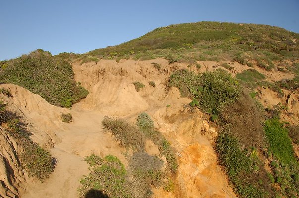 DSC 3071
