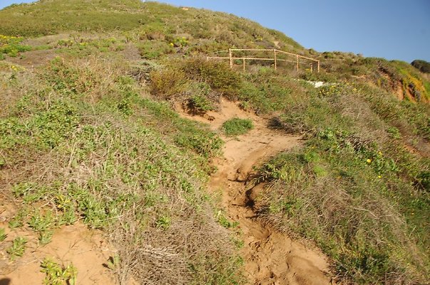 DSC 3038