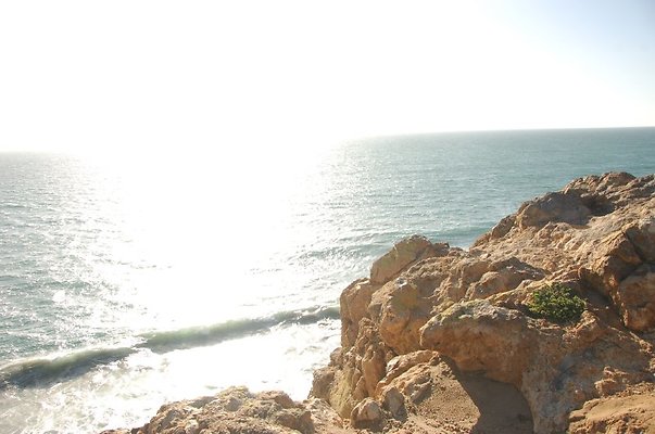 DSC 3098