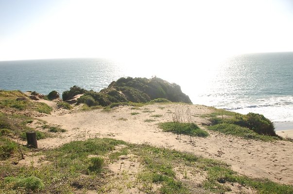 DSC 3015