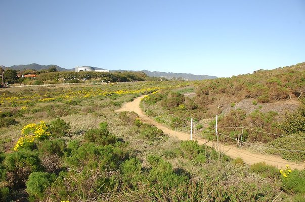 DSC 3018