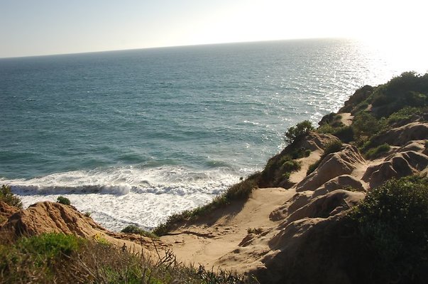 DSC 3061