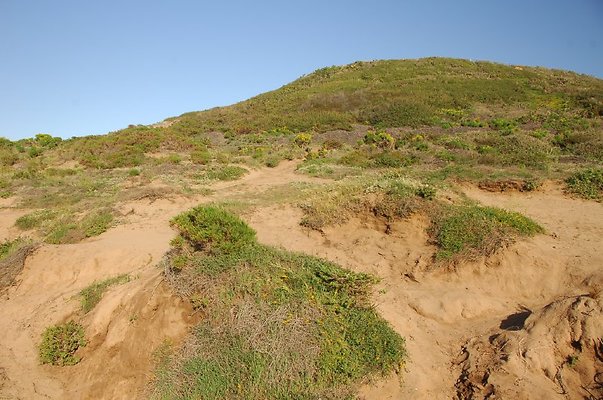 DSC 3054