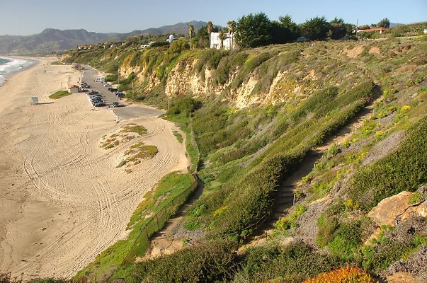 DSC 3079