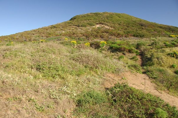 DSC 3012